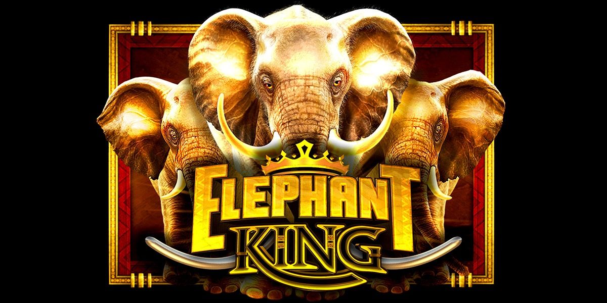 Elephant King Review