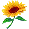 Beez Kneez - Yellow Flower