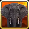 Stampede - Elephant