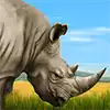 Stampede - Rhino
