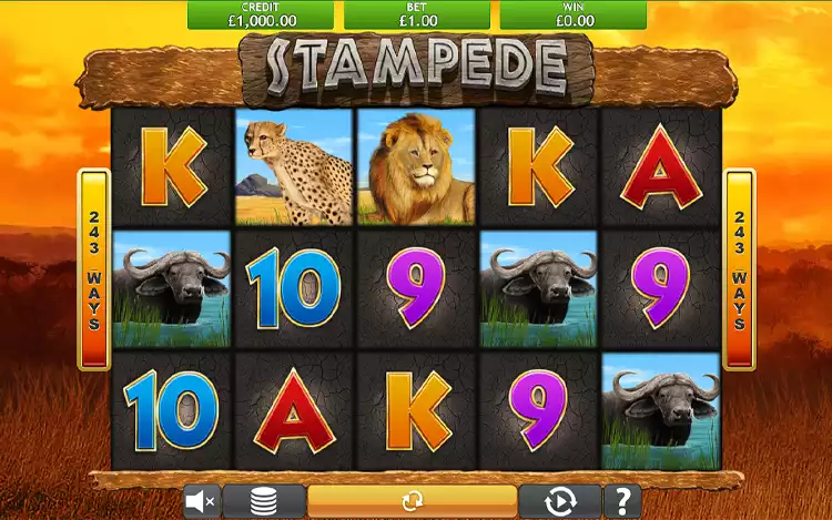 Stampede Slot
