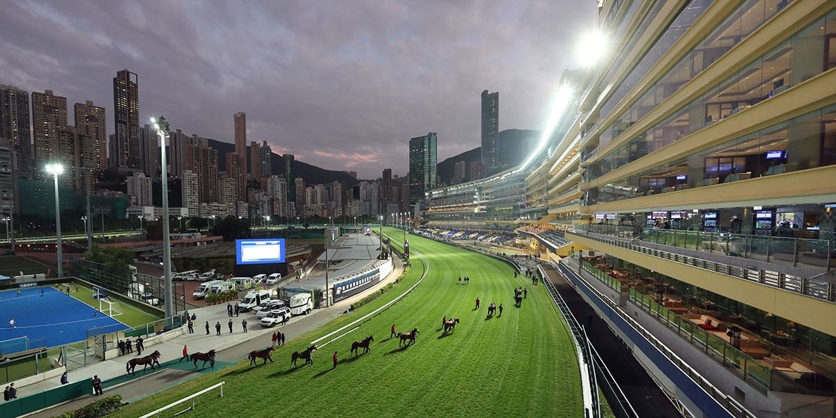 Happy Valley Betting Tips – Hong Kong Racing 6 May