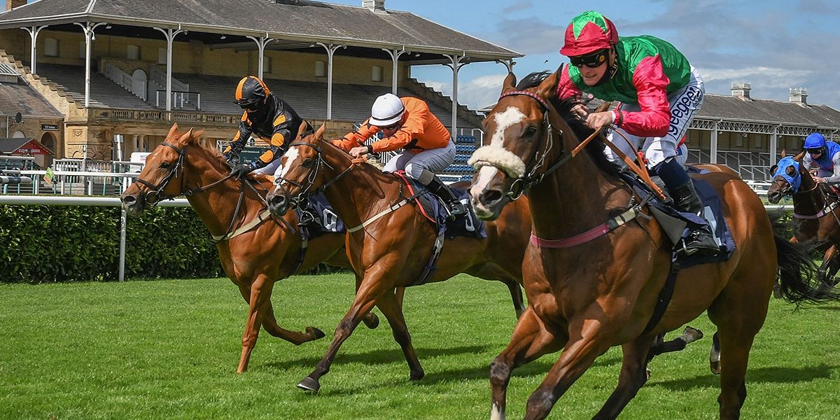 St Leger Festival Preview And Betting Tips - Day Two
