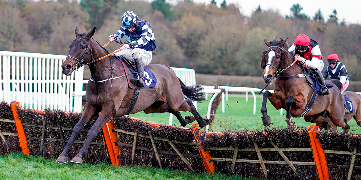 Lingfield Winter Derby Day Preview