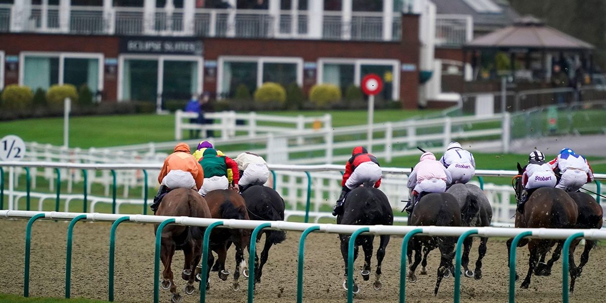 Lingfield All-Weather Finals Day Betting Tips