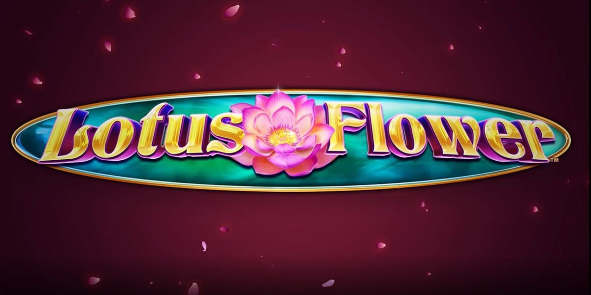 Lotus Flower Review