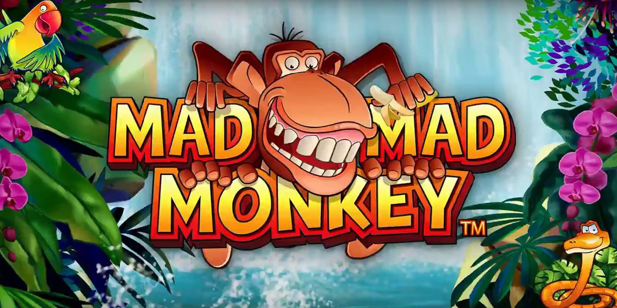 Mad Mad Monkey Slot Review