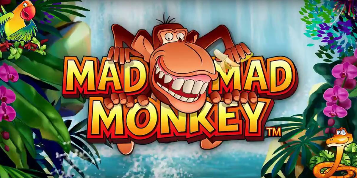 Mad Mad Monkey Review