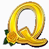 Starlight Kiss - Q