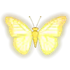 Butterfly Staxx - Golden Butterfly symbol