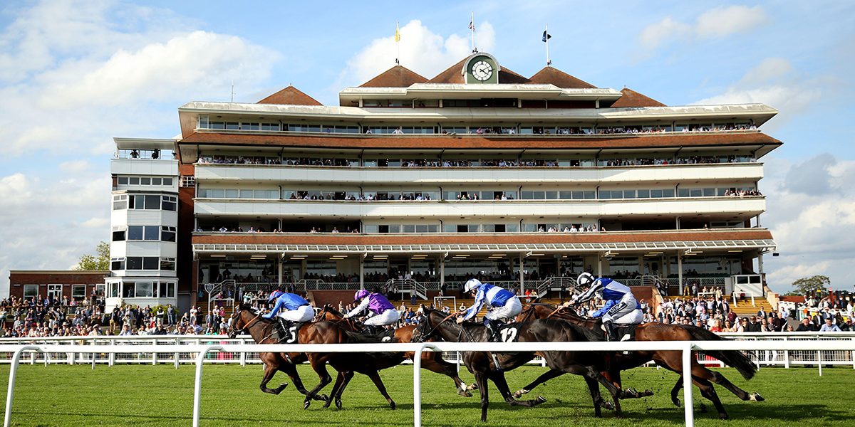 Newbury Greatwood Gold Cup Day Preview