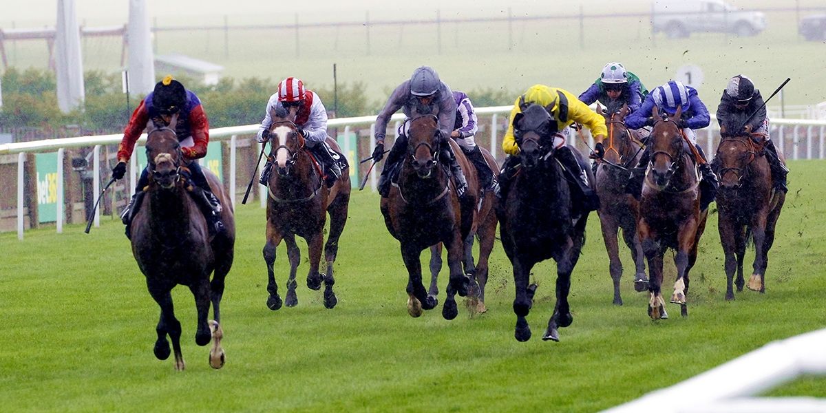 Newcastle Northumberland Plate Day Preview 