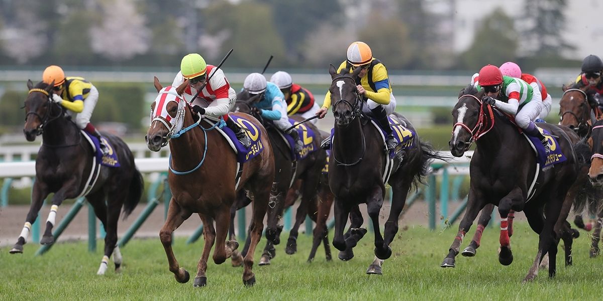 Nakayama Grand Jump Preview And Betting Tips