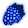 Golden Ticket - Grapes Symbol