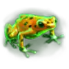 Epic Ape - Frog Symbol