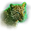 Epic Ape - Leopard Symbol