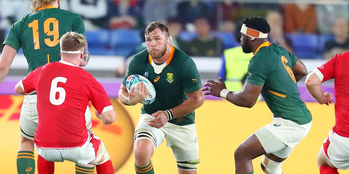 Wales v Springboks Preview - Autumn Internationals Week Two