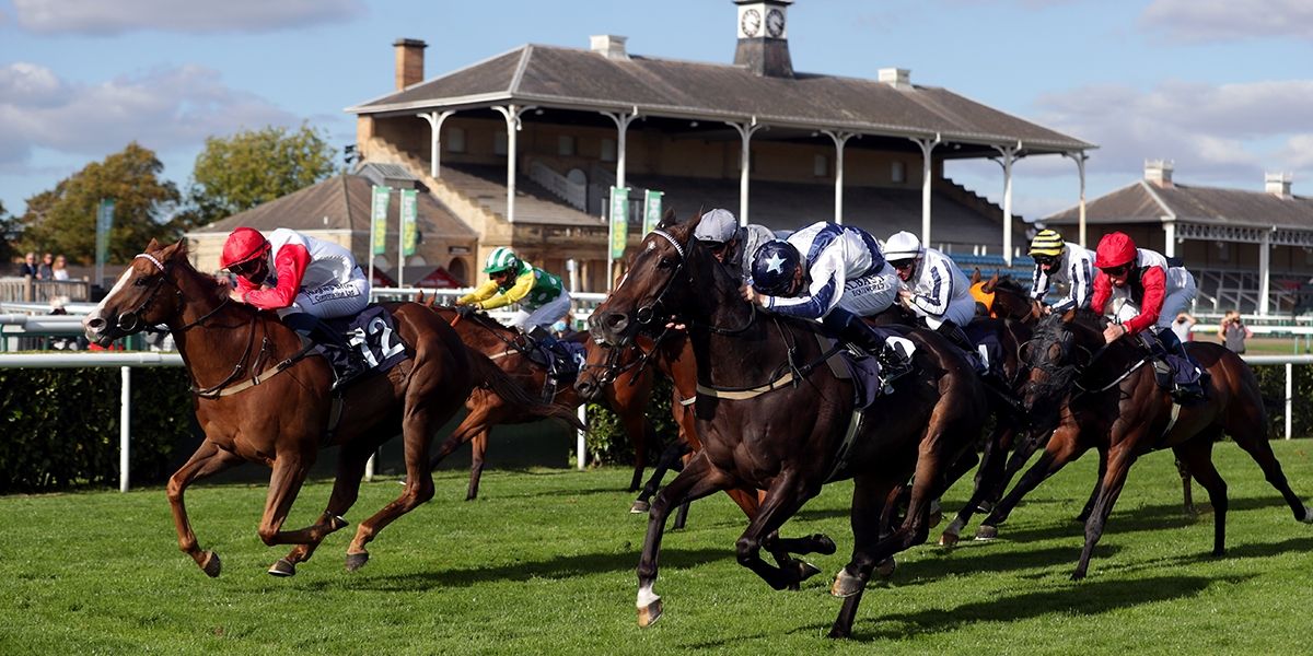 St Leger Festival Preview And Betting Tips - Day Three