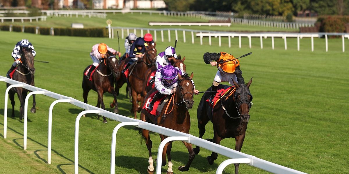 Sandown Preview