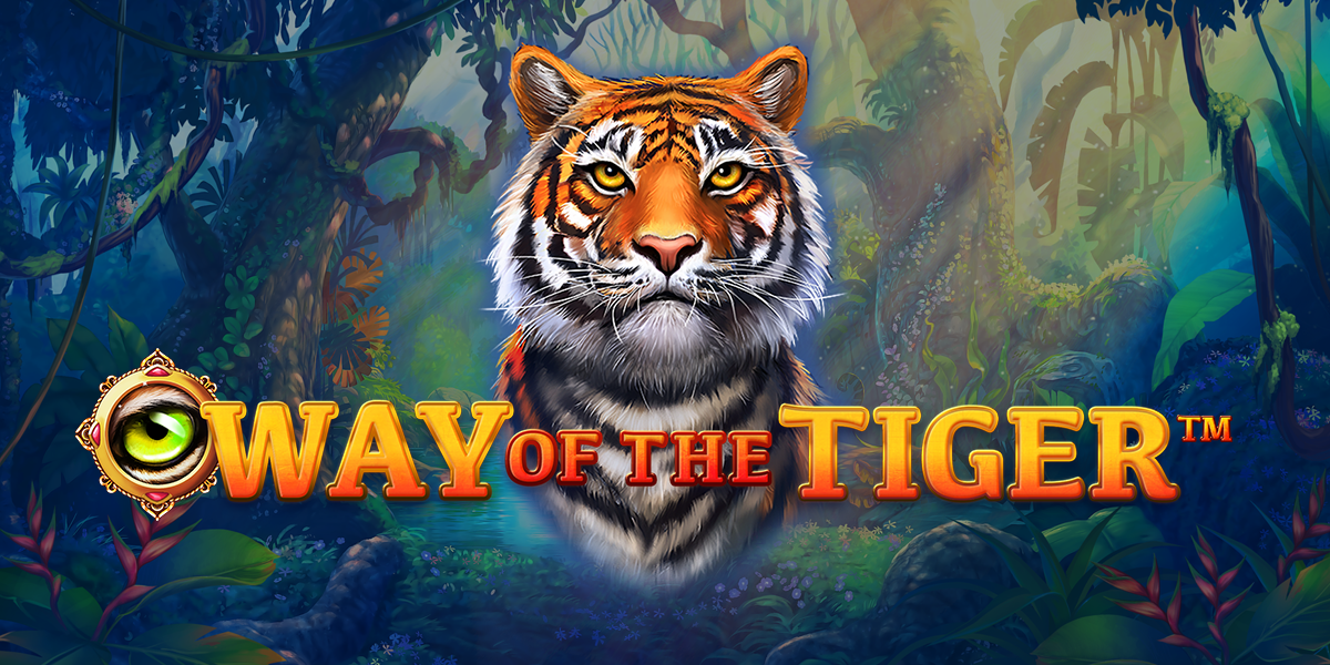 Way Of The Tiger Review