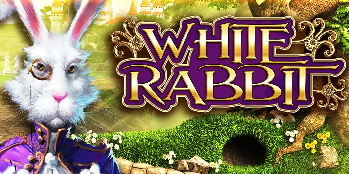 White Rabbit Review