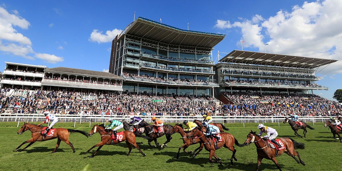 Dante Festival Betting Tips - York