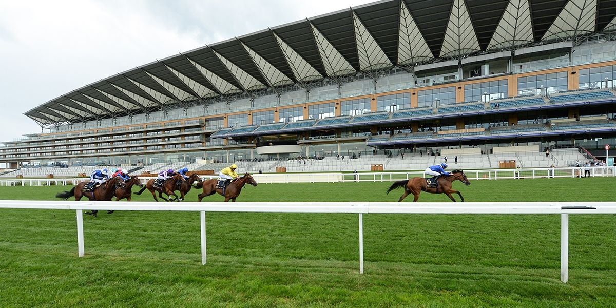 Ascot Clarence House Chase Day Preview