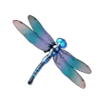 big bass bonanza slot symbols - Dragonfly