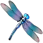 big bass splash slot symbols- dragonfly