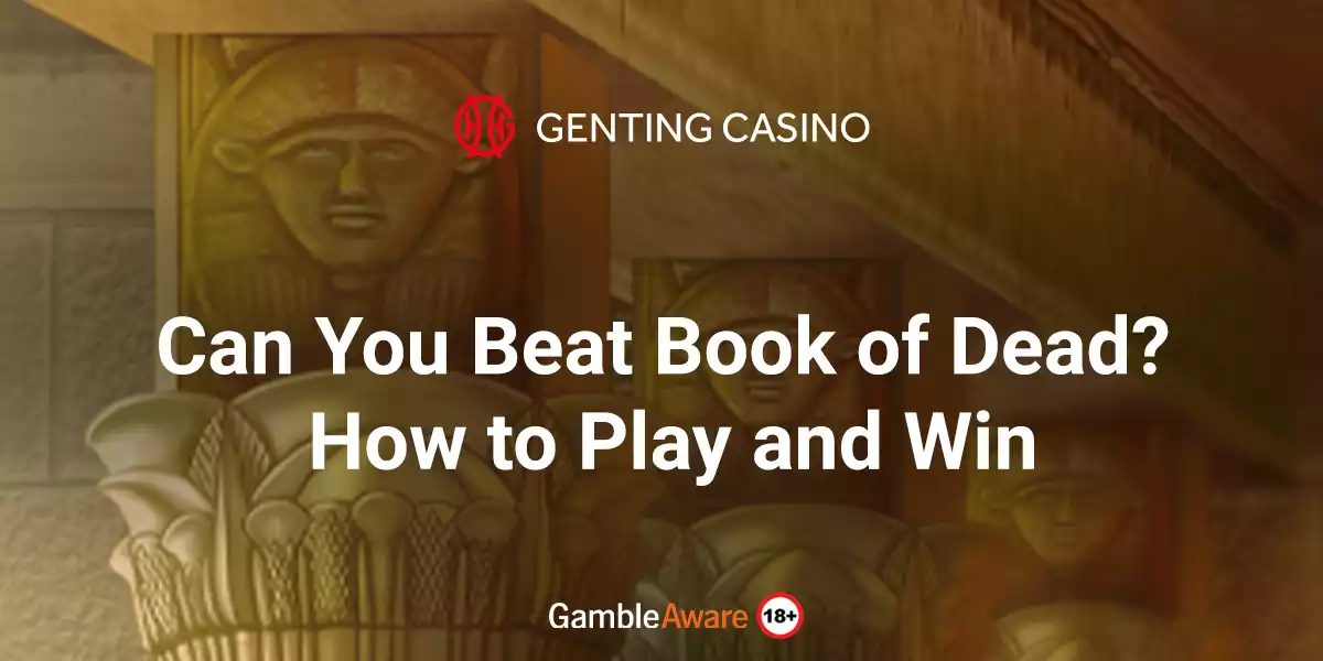 book of dead how to play article banner