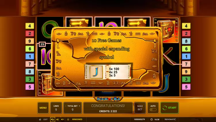 book-of-ra-free-spins-screen