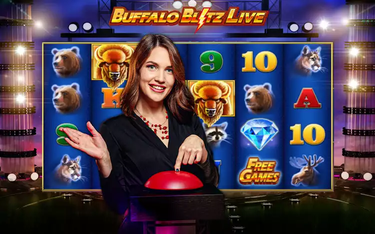 buffalo blitz live banner