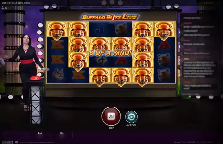 buffalo-blitz-live-features.jpg