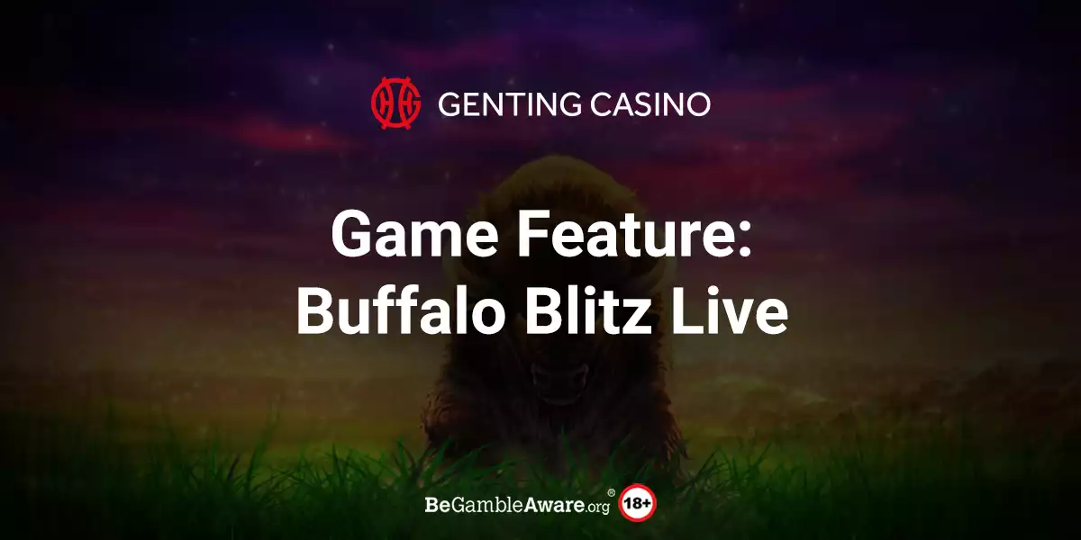 Buffalo Blitz Live Game Feature