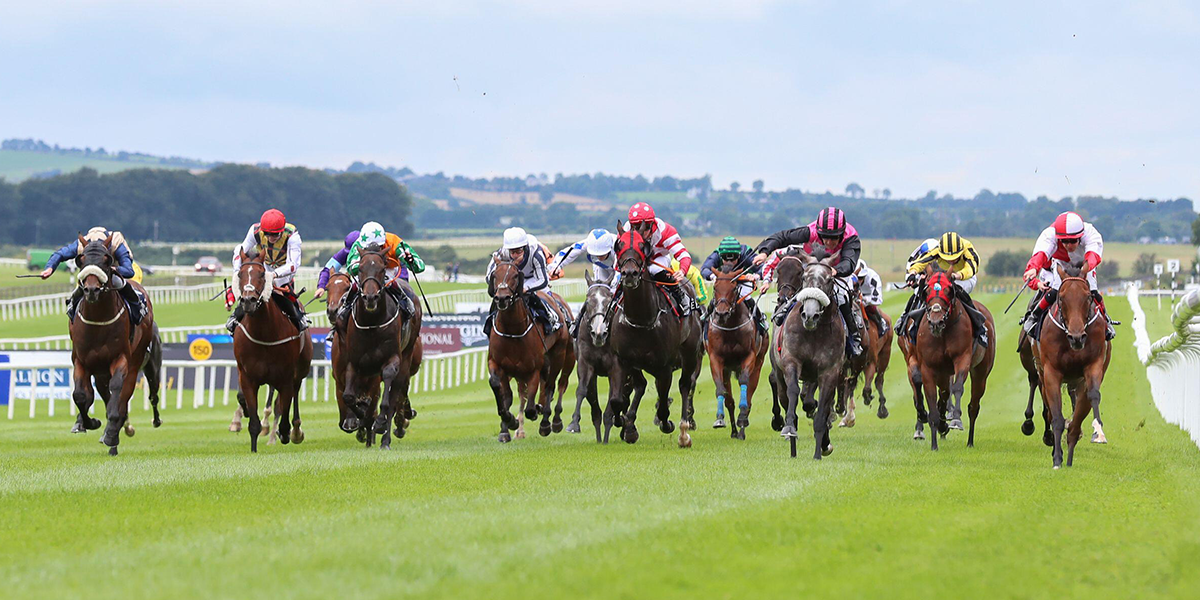 Juddmonte Irish Oaks Day Preview 