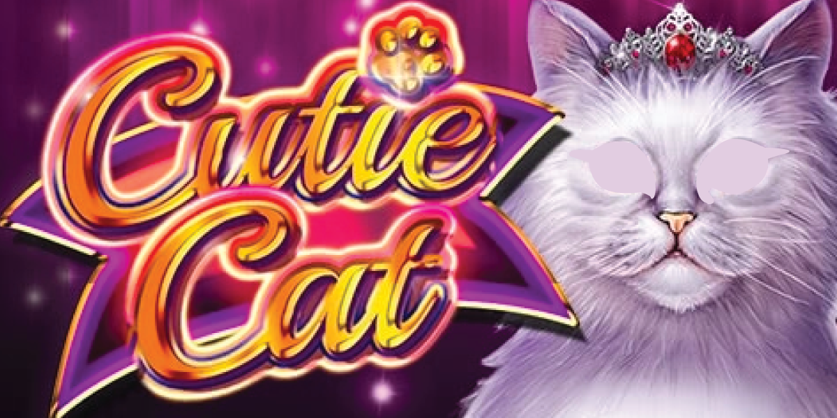 Cutie Cat Review