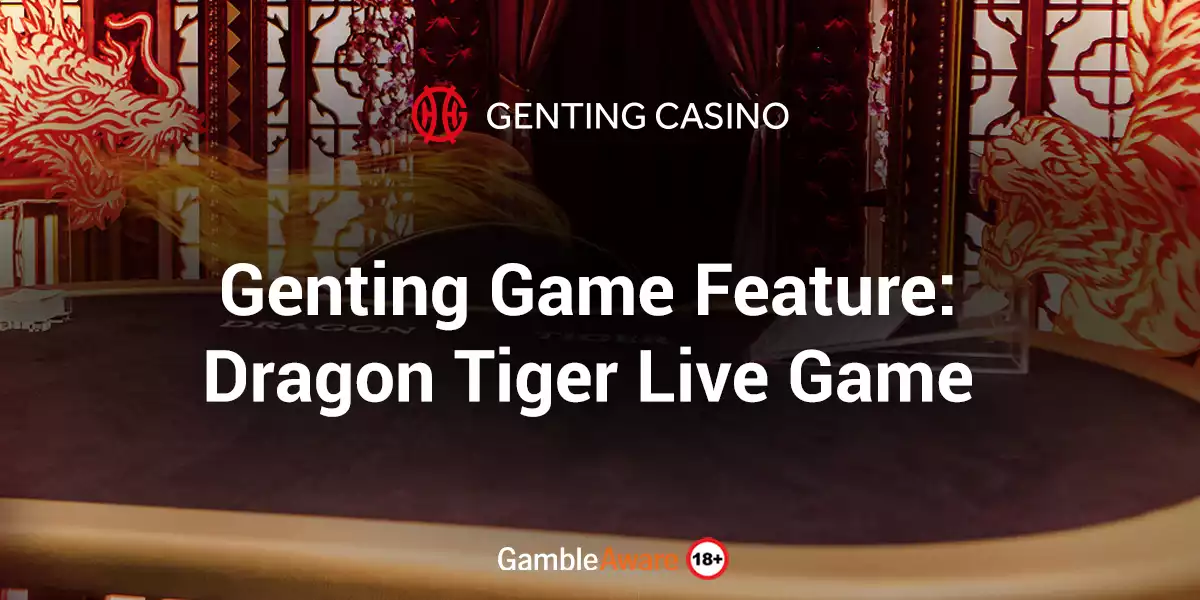 dragon tiger game feature article banner