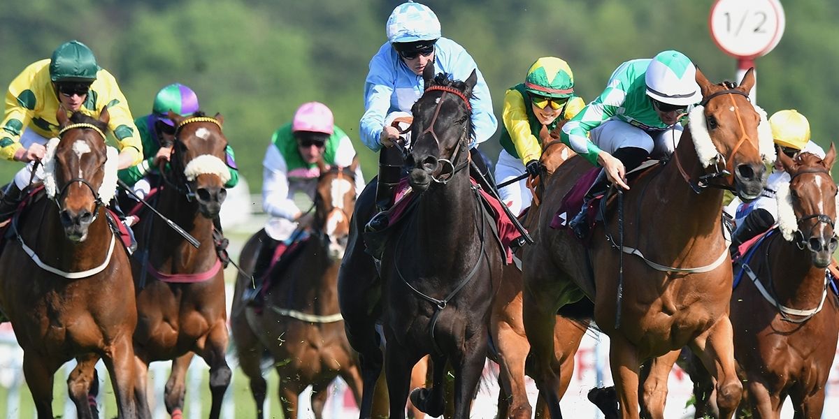 Saturday Racing - Betting Preview