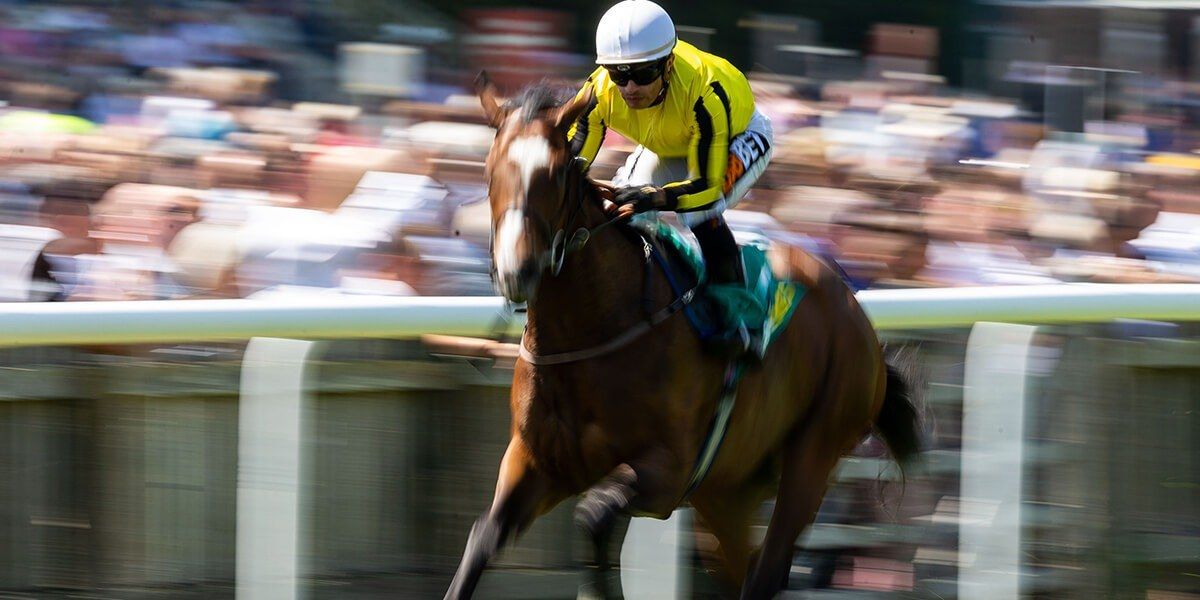 Fillies’ Mile - Horse Racing Preview