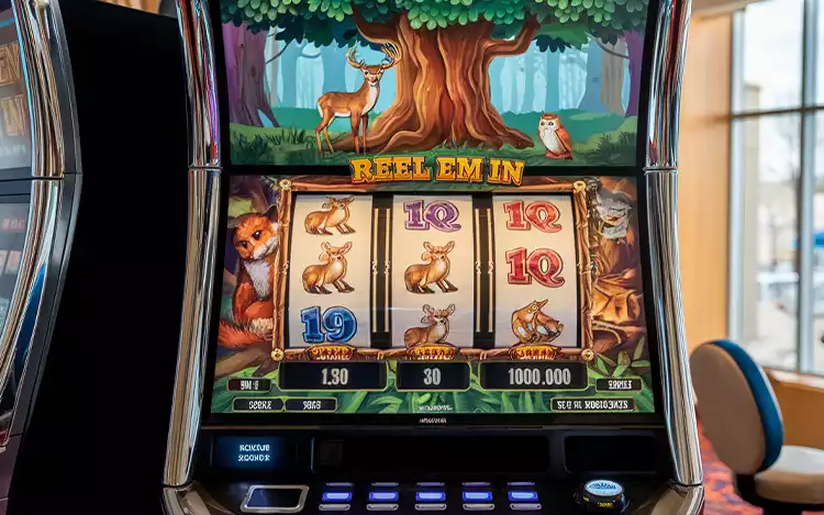 reel em in slot
