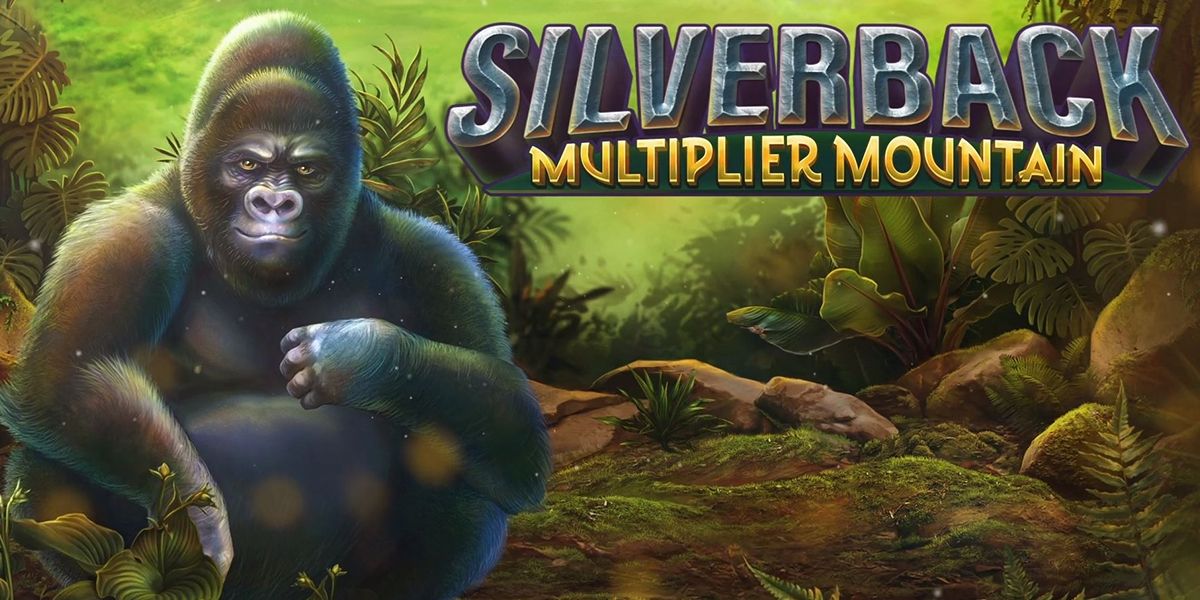 Silverback Multiplier Mountain Review