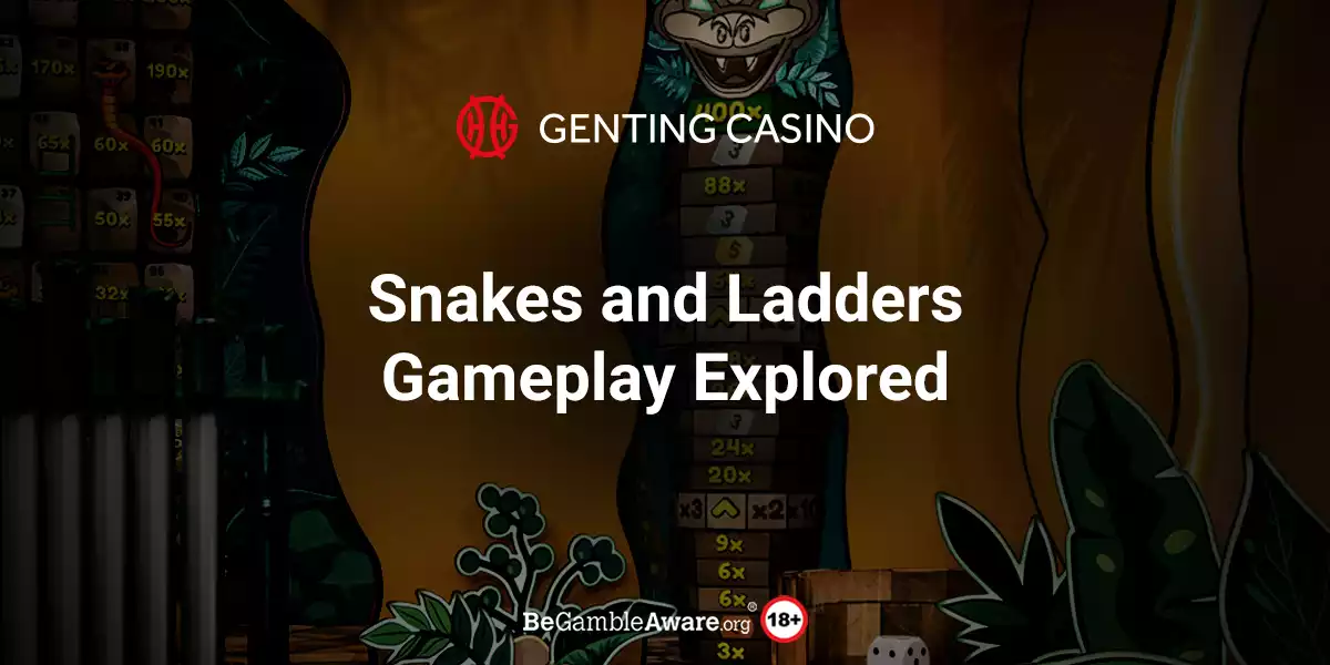 Snakes and Ladders Gameplay