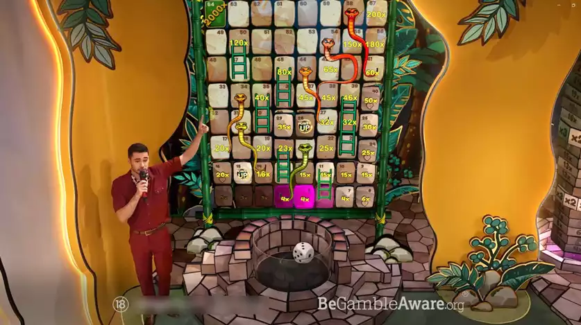 snakes-and-ladders-live-features.jpg