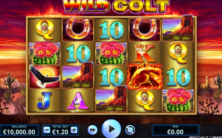 Wild Colt New Slot