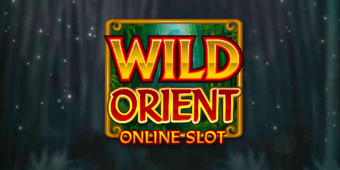 wild-orient-slot-features.png