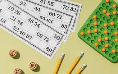 Bingo Goes DIY