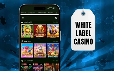 How White Label Casinos Work Behind the Scenes