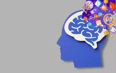 The Psychology of Bingo Why Players Enjoy the Game