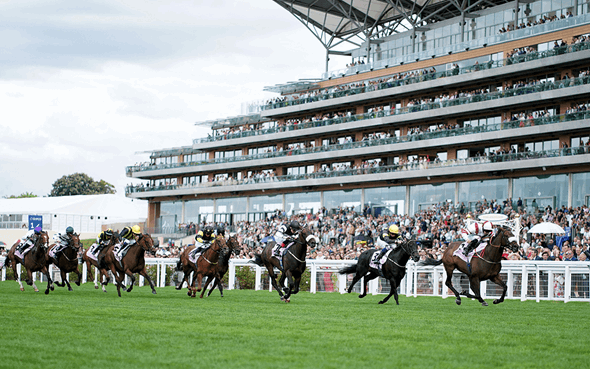 Ascot Challenge Cup Betting Tips