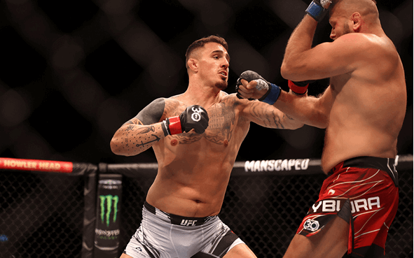 UFC 295 Betting Tips 